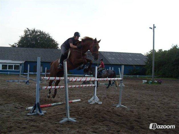 Dansk Varmblod Capella S - Capella s og tidlige ejer. billede 1