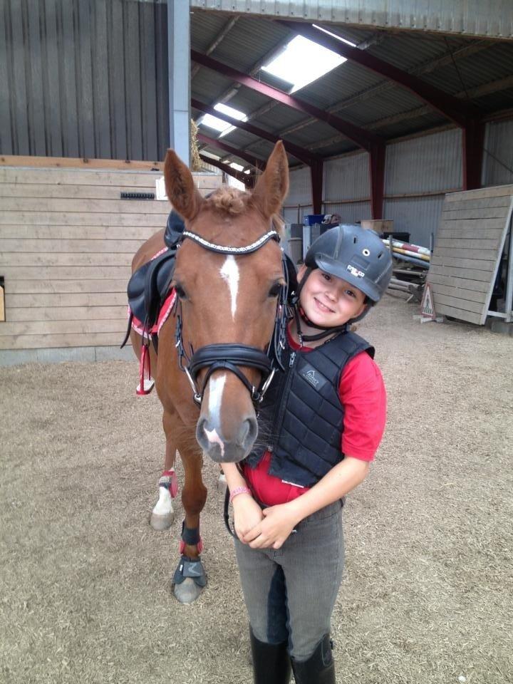 DSP Martini asti billede 11