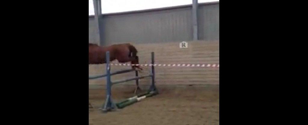 DSP Martini asti billede 14