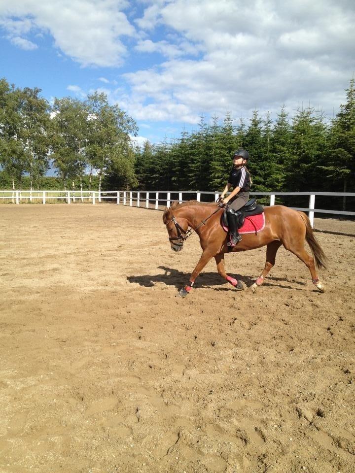 DSP Martini asti billede 15