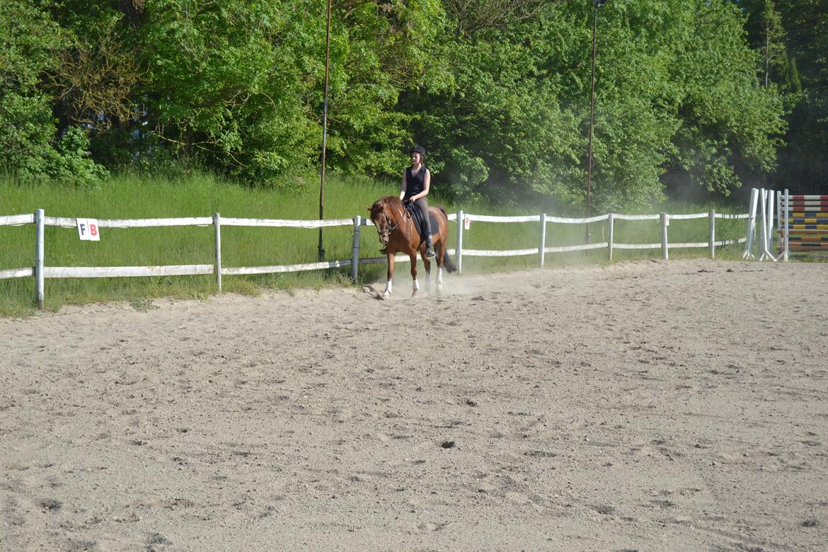 DSP Luanda billede 3