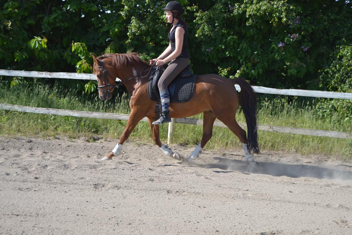 DSP Luanda billede 4