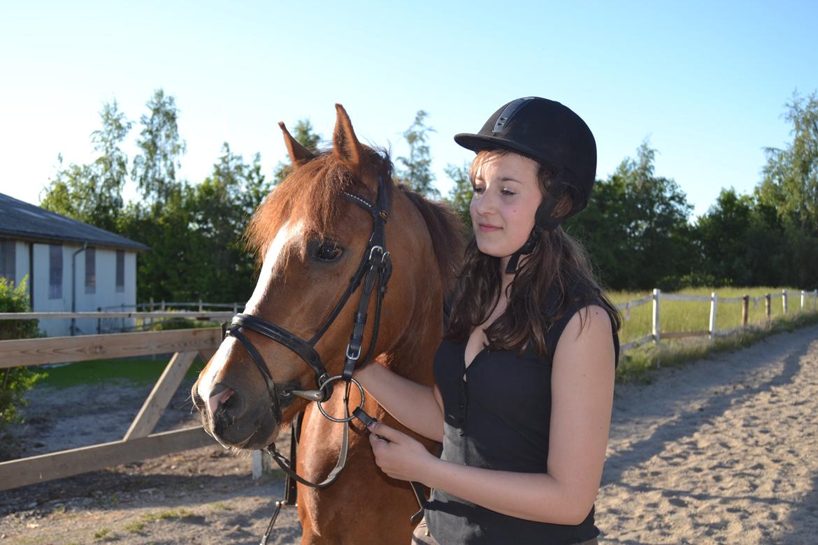 DSP Luanda billede 6