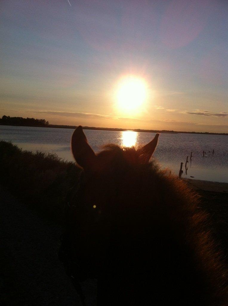 DSP Luanda billede 10