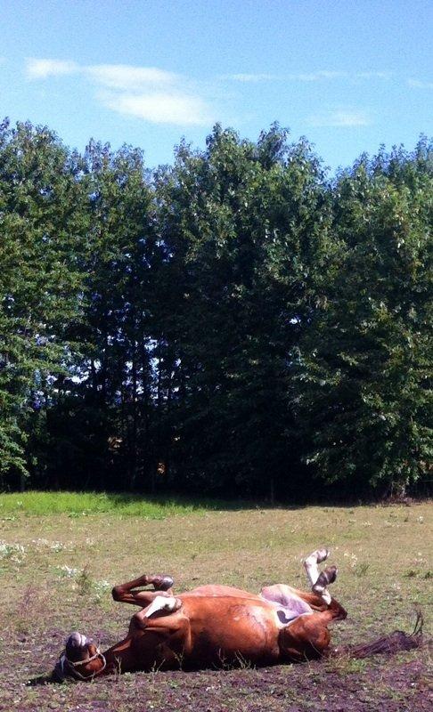 DSP Luanda billede 11