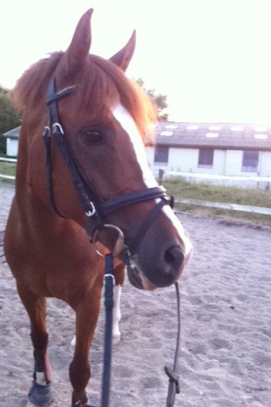 DSP Luanda billede 14