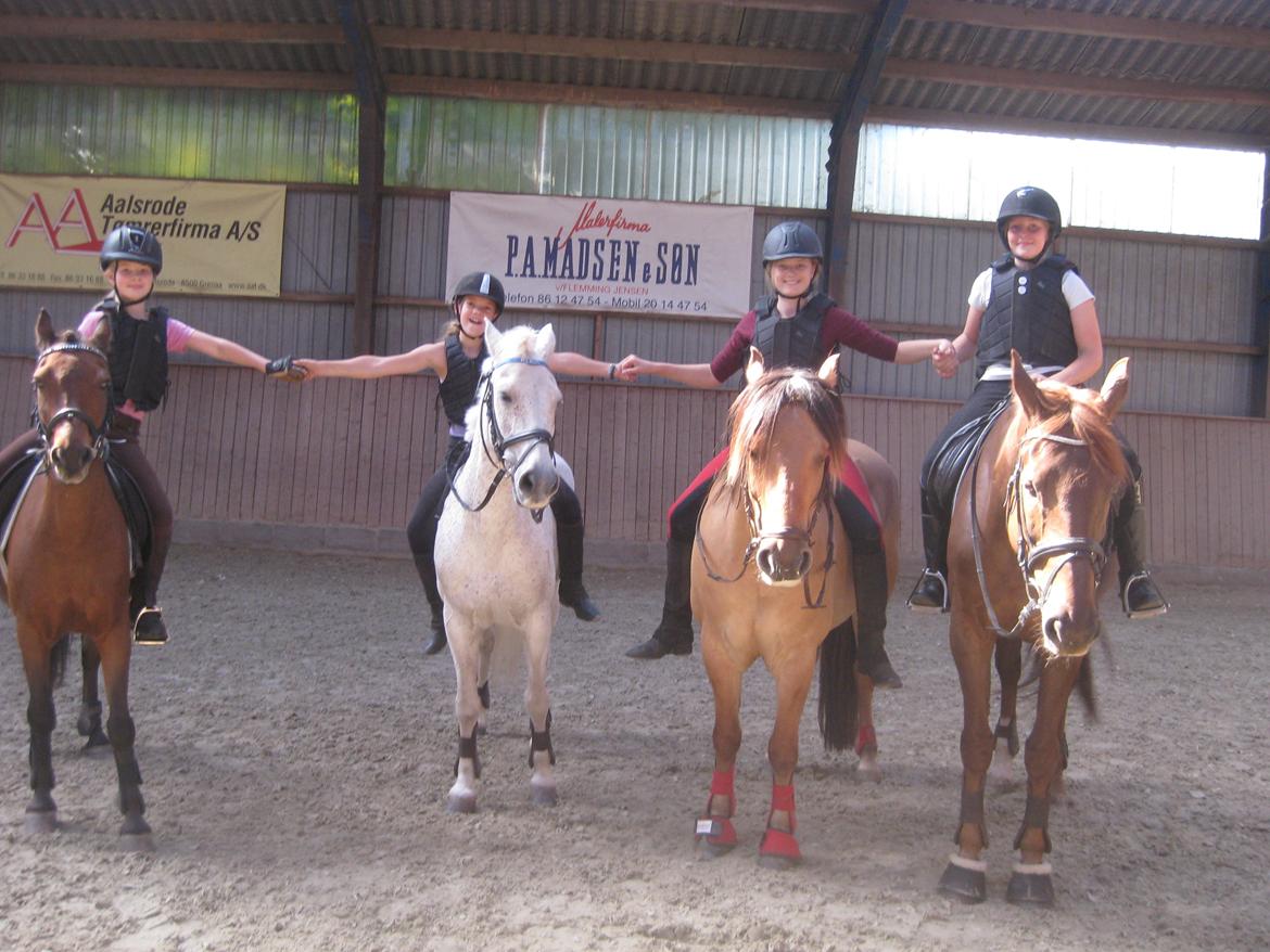 Anden særlig race Dumbledore  - Sammen med de bedste i verden!<3 billede 24