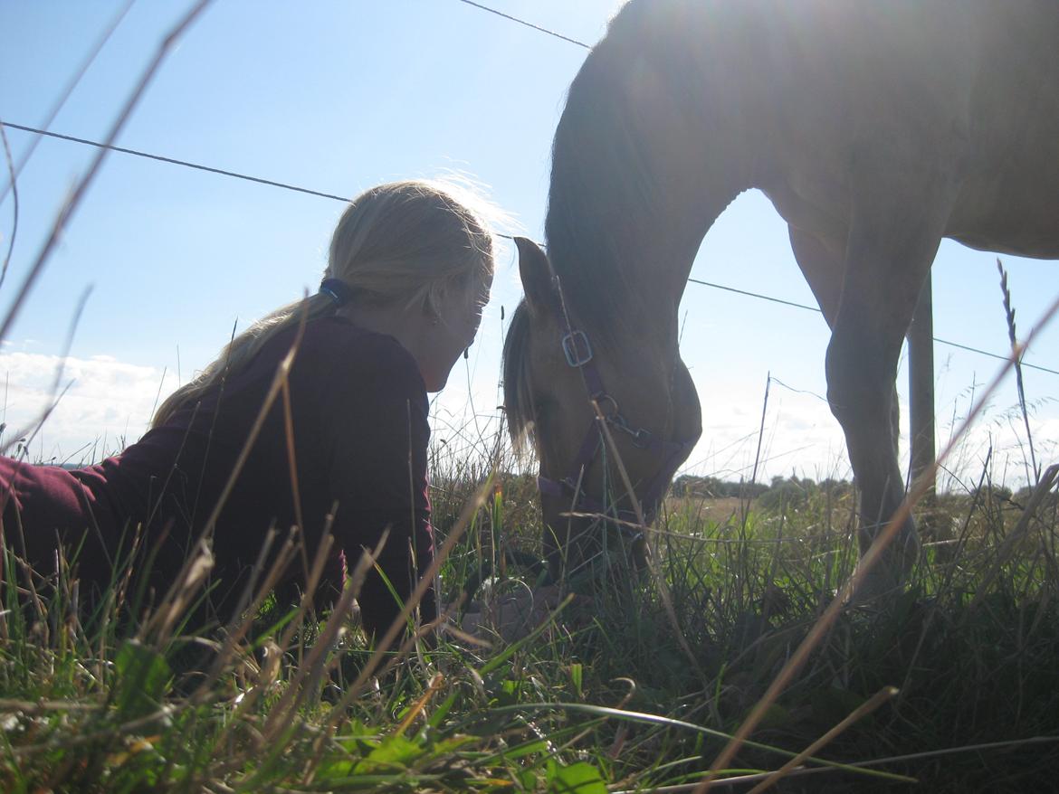 Anden særlig race Dumbledore  - LOVE YOU!! billede 34