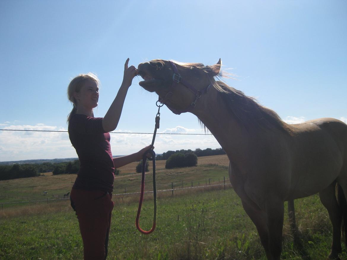 Anden særlig race Dumbledore  - Smiiil til verden!!!<3 billede 5