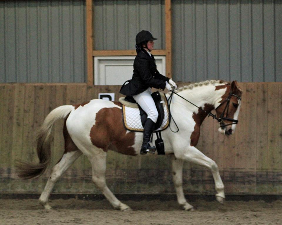 Pinto Metrik - Stævne i Gjern billede 5