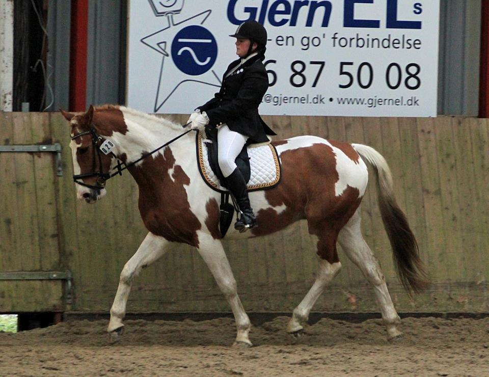 Pinto Metrik - Stævne i Gjern billede 4