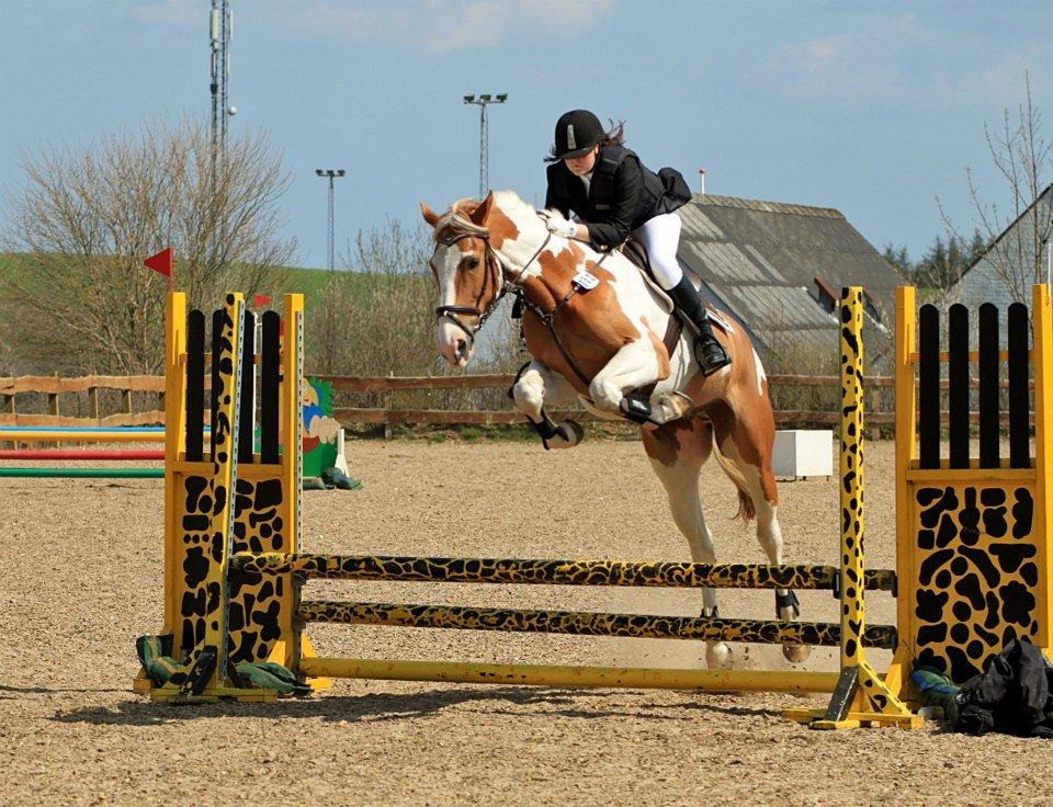 Pinto Metrik - Stævne i Hylke:) Nok er springet ik ret højt, men kom ikke her og sig min hest ik kan hoppe xD  billede 2