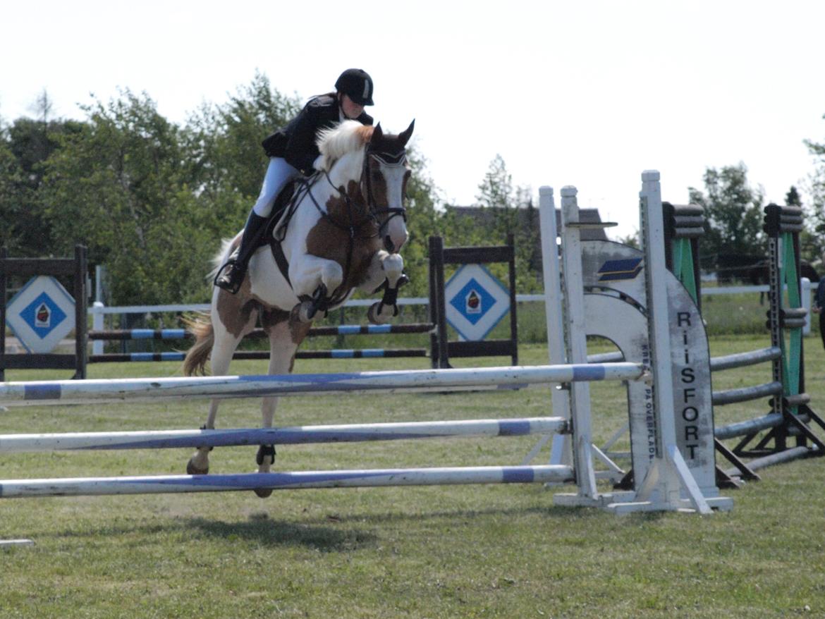 Pinto Metrik - Første LD i Gjern ;) billede 7