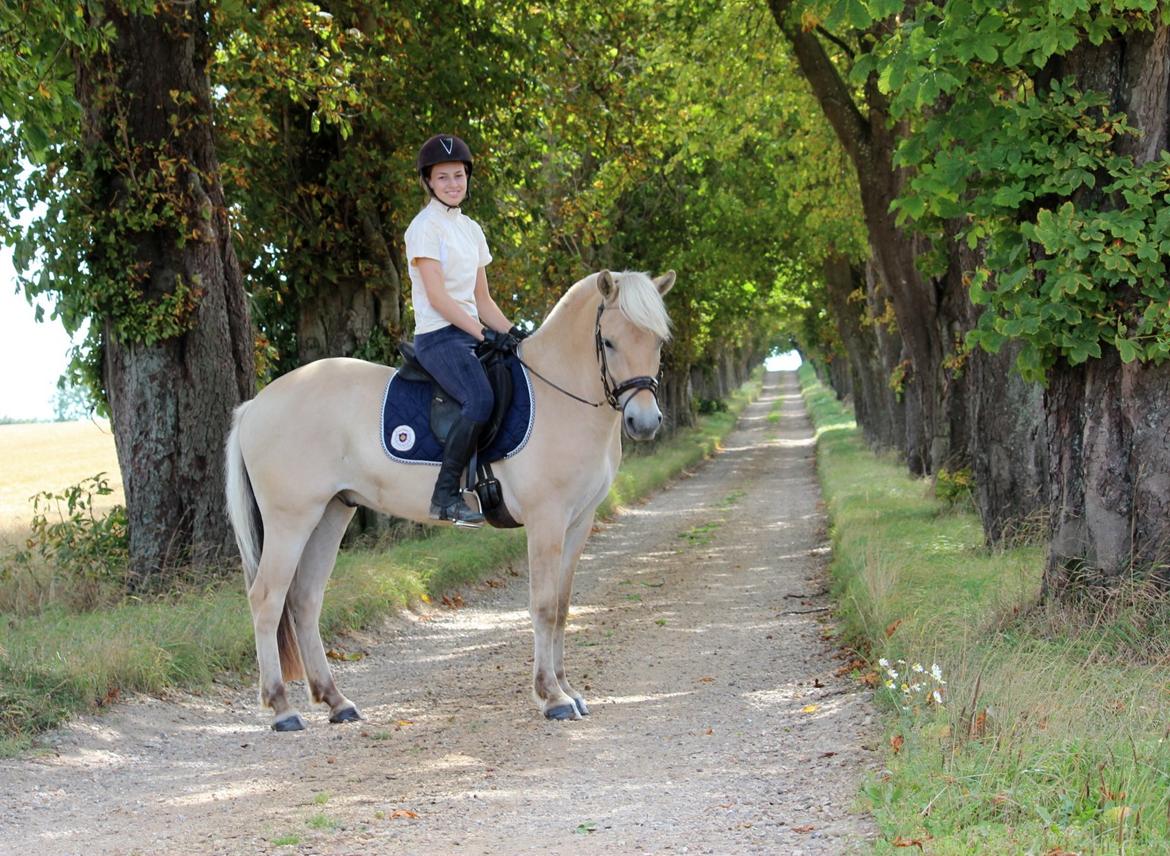 Fjordhest Lamhaves Confetti - Confetti og hans ejer Signe. 
Sensommer 2013 billede 5