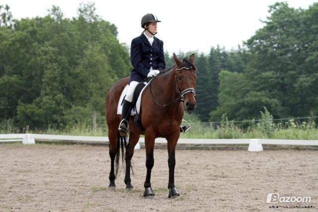 Fuldblod (XX) Fair Mile XX - Fair får sig en lille lur billede 1