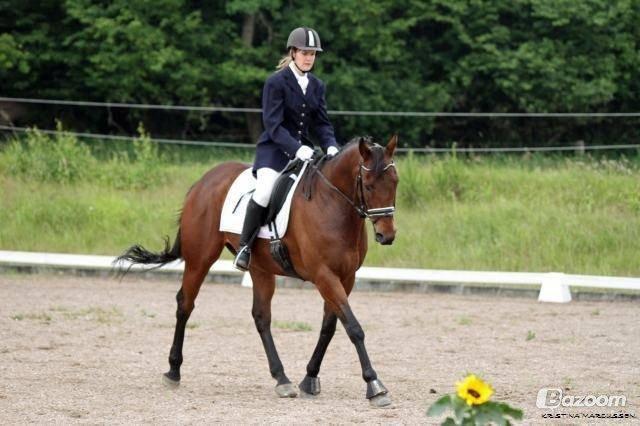 Fuldblod (XX) Fair Mile XX - Stævne hos Wonderful Arabians. Fotograf Kristina Markussen billede 5