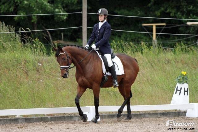 Fuldblod (XX) Fair Mile XX - Fair i LD2. Fotograf Kristina Markussen billede 6