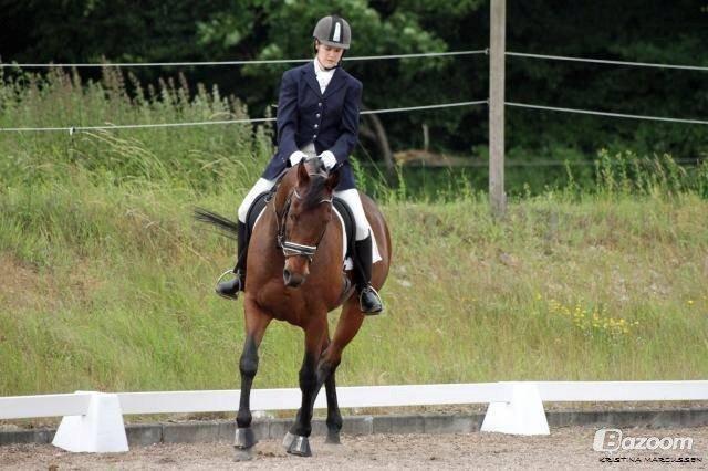 Fuldblod (XX) Fair Mile XX - Fair i LD1. Fotograf Kristina Markussen billede 7