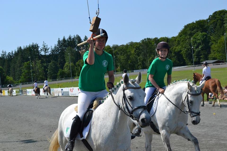 Connemara Hesteklewa Day Dream (day) - hestenes dag 2013 Bornholm. racernes ringridning, day og malle! <3
foto: michala haagensen billede 7