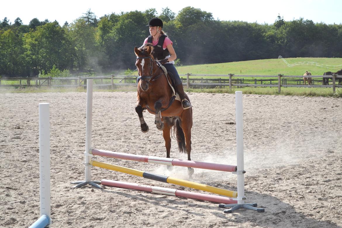 Anden særlig race Dinar - han kan da i hvert fald hoppe!  billede 8