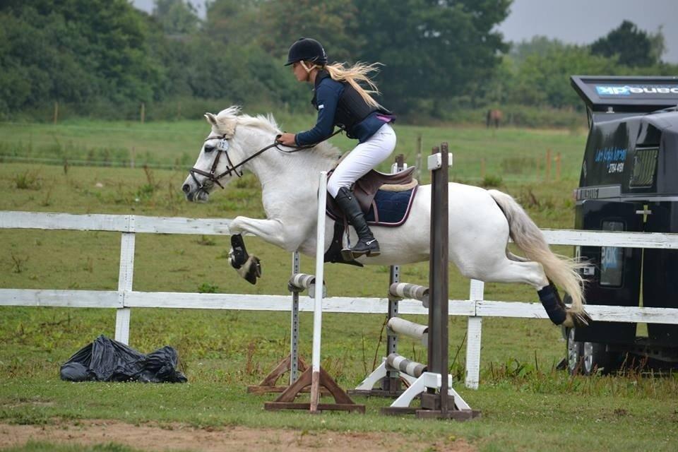 Anden særlig race Prins *Stjernen*  billede 9