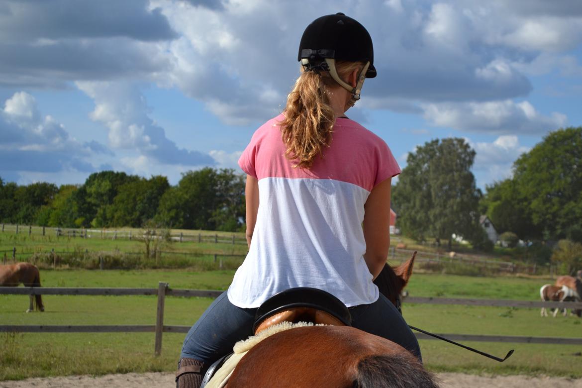 Anden særlig race Dinar billede 2