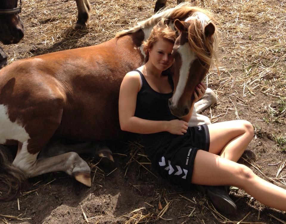 Pinto Roméo billede 2