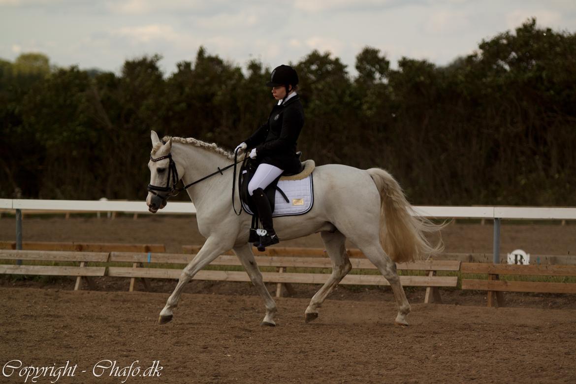 Anden særlig race Milky Way billede 10
