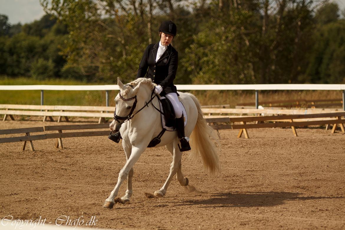 Anden særlig race Milky Way billede 16