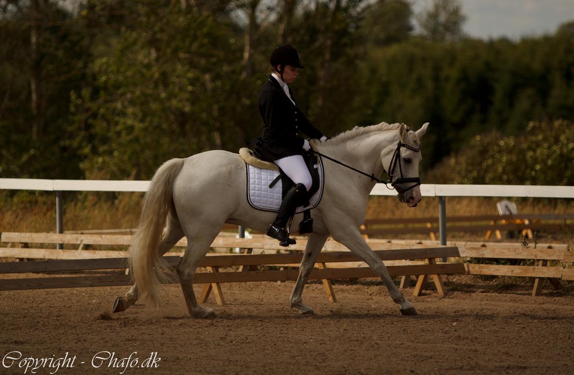 Anden særlig race Milky Way billede 14