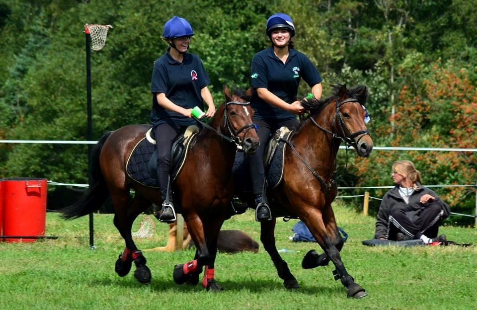 New Forest | Luxie - mammut <3 - Best friends are forever billede 19