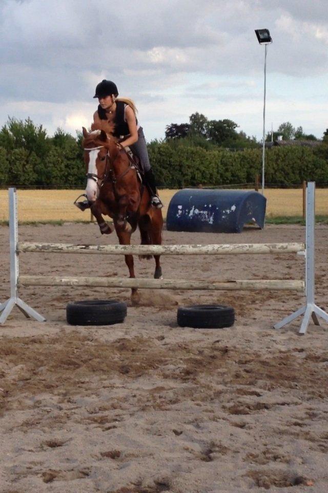 Anden særlig race Dejavu aka Manse "Lånepony" billede 3