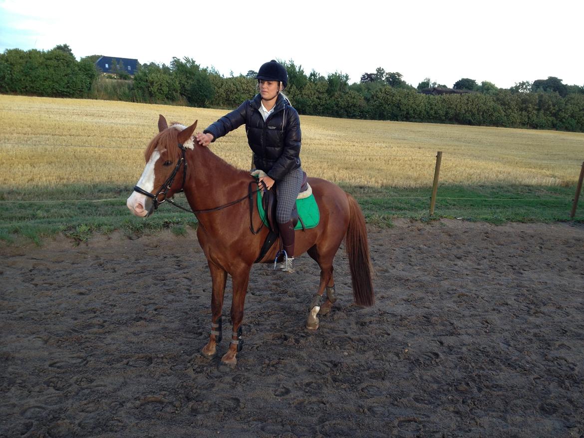 Anden særlig race Dejavu aka Manse "Lånepony" billede 11