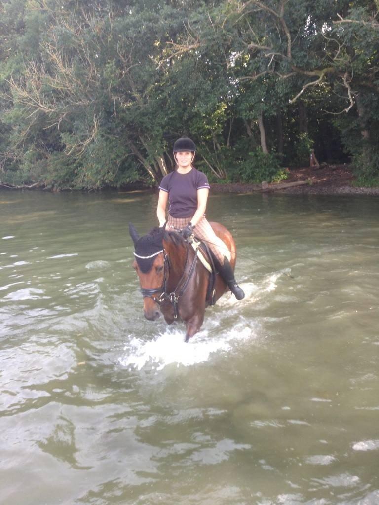 Dansk Varmblod Qvinni billede 20