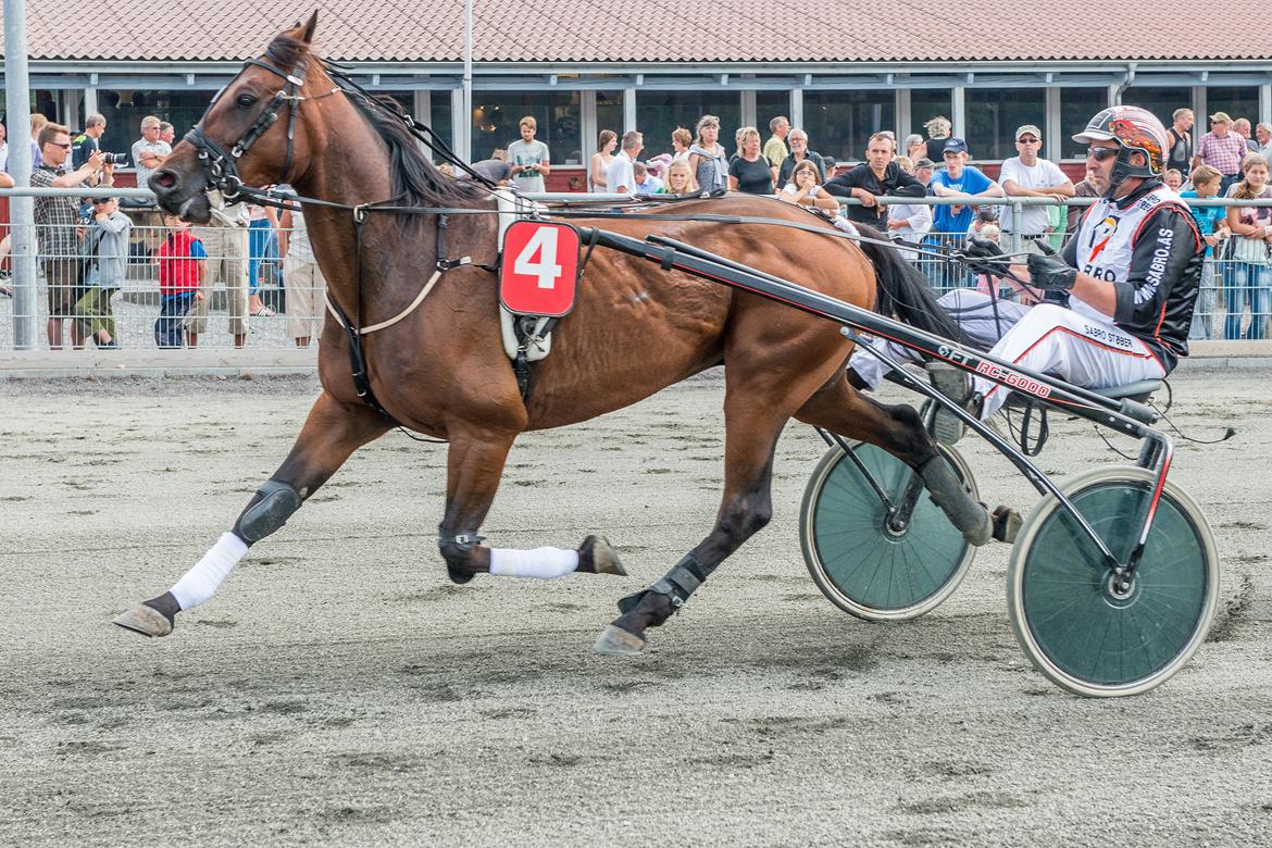 Traver Satano Neergård - 18.08.13 - BM dagen med Thomas Bonde i vognen :-)  billede 18