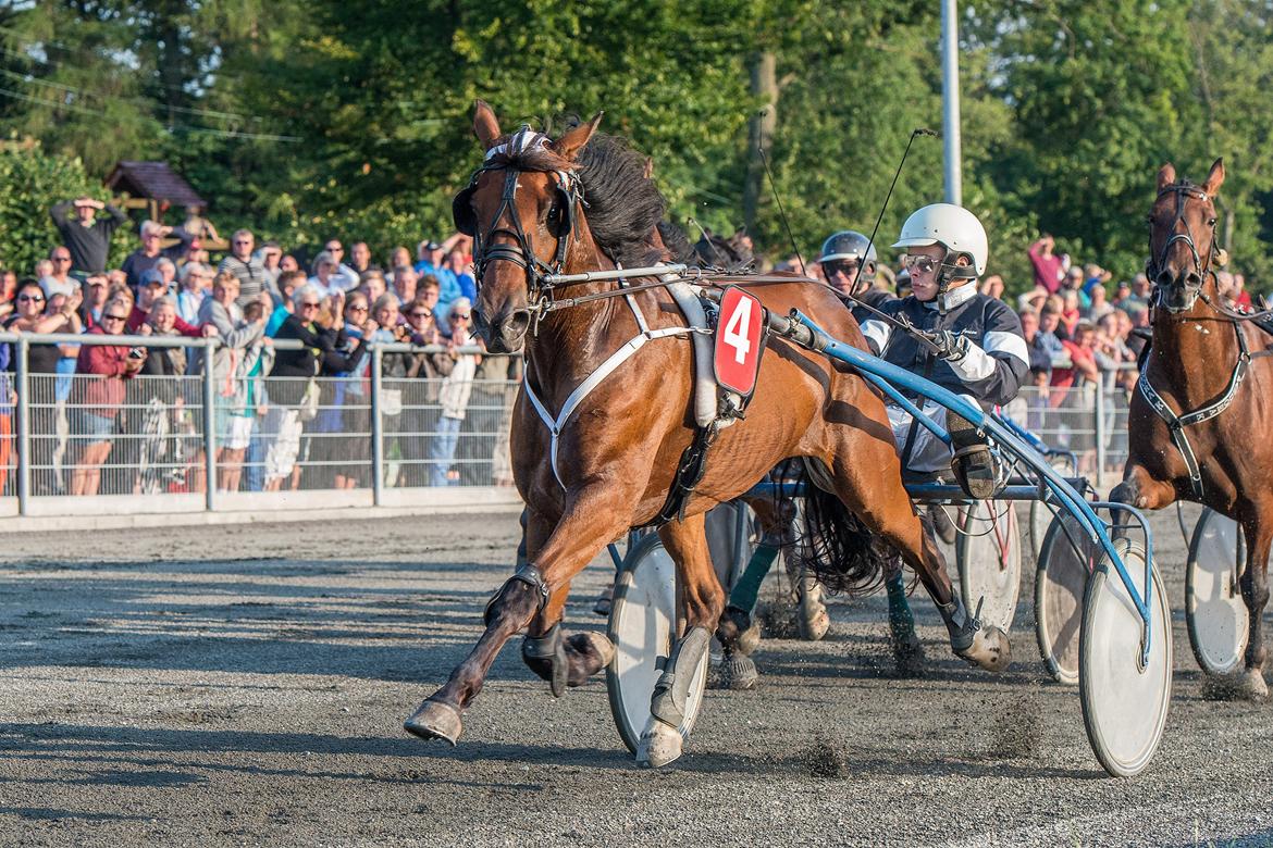 Traver Osiris Neergård - Velkommen til Osiris Neergård :-) Her vinder han i 18,0 Bornholm 13. billede 1