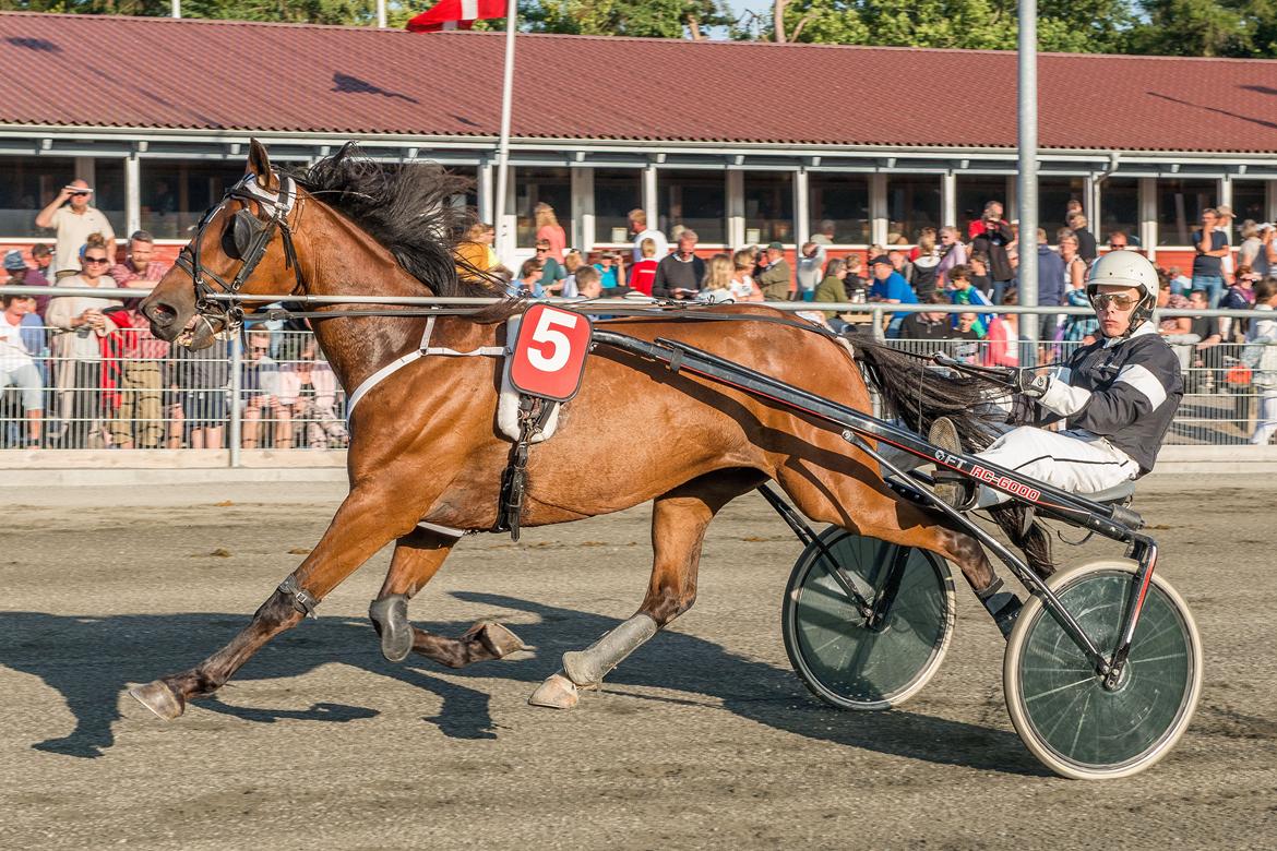 Traver Osiris Neergård - Tak fordi i kiggede forbi - Læg evt kommentar og bedømmelse.  billede 18