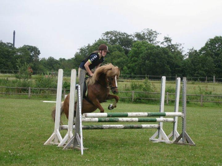 Islænder Idun fra Dynt billede 3