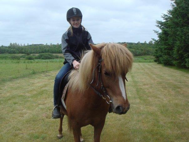 Islænder Idun fra Dynt - Første tur på Idun billede 13