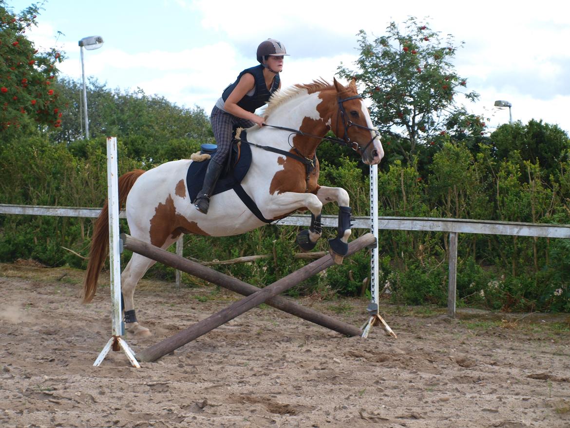 Pinto Gottenborgs Lucky billede 15