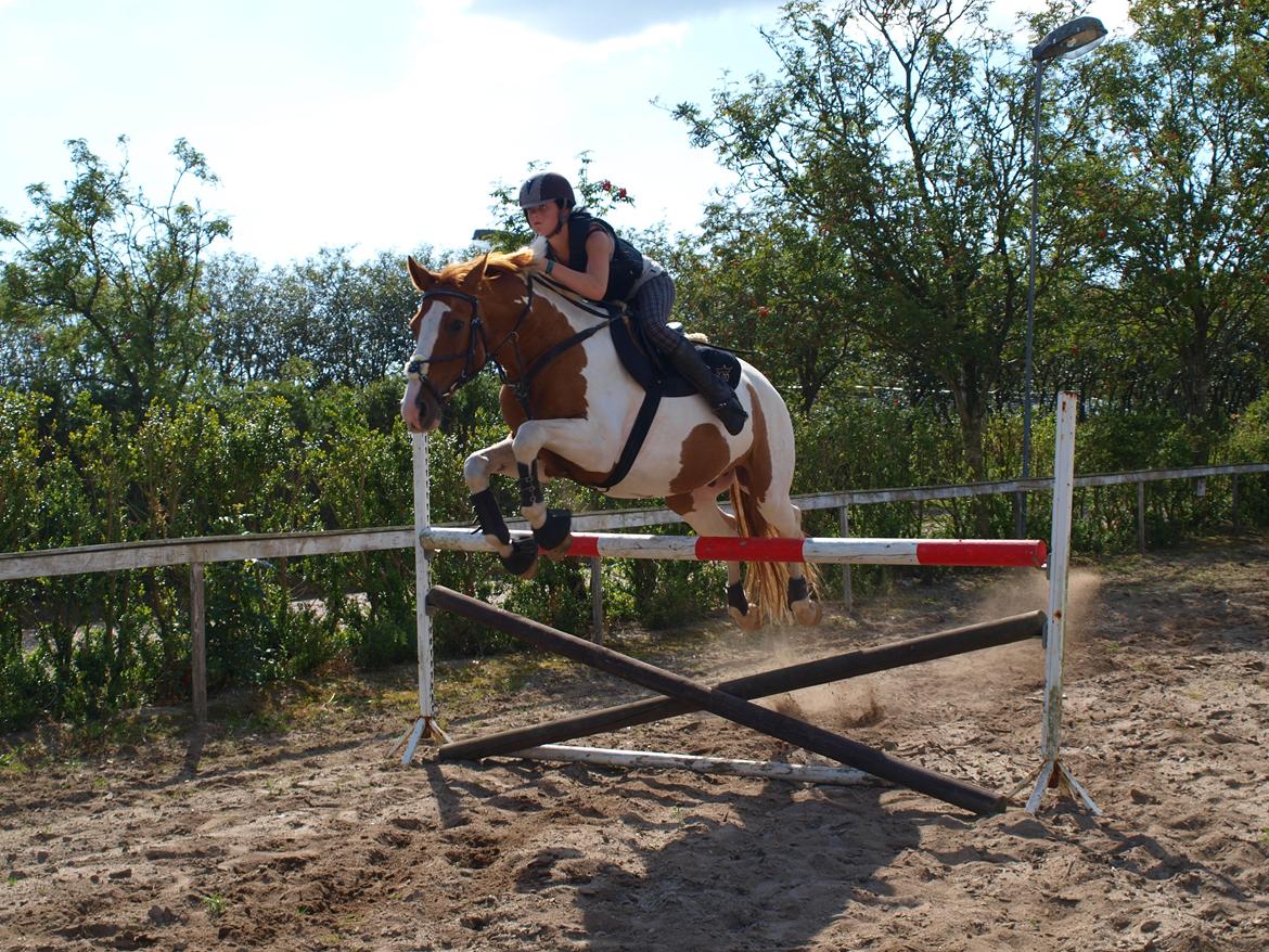 Pinto Gottenborgs Lucky billede 16