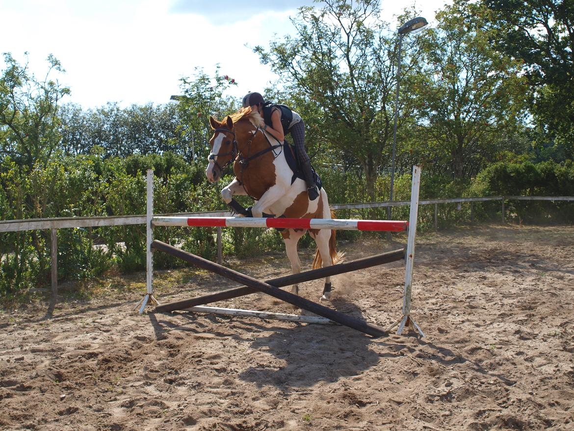 Pinto Gottenborgs Lucky billede 17