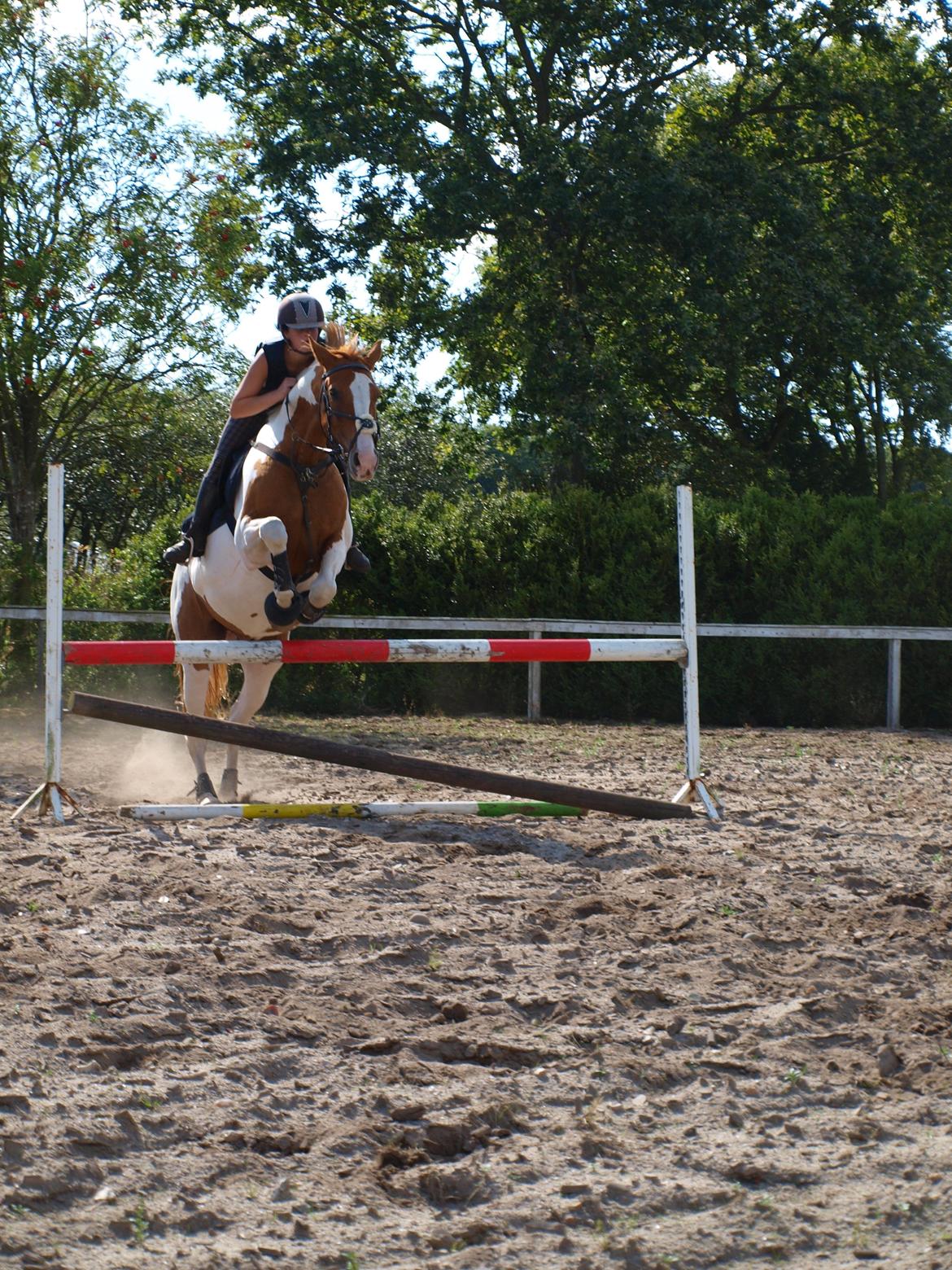 Pinto Gottenborgs Lucky billede 18