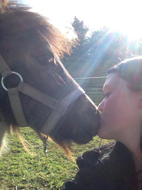 Shetlænder Bellis Merci *solgt* - August 2013 - Et møs til min lille prinsesse :) billede 13