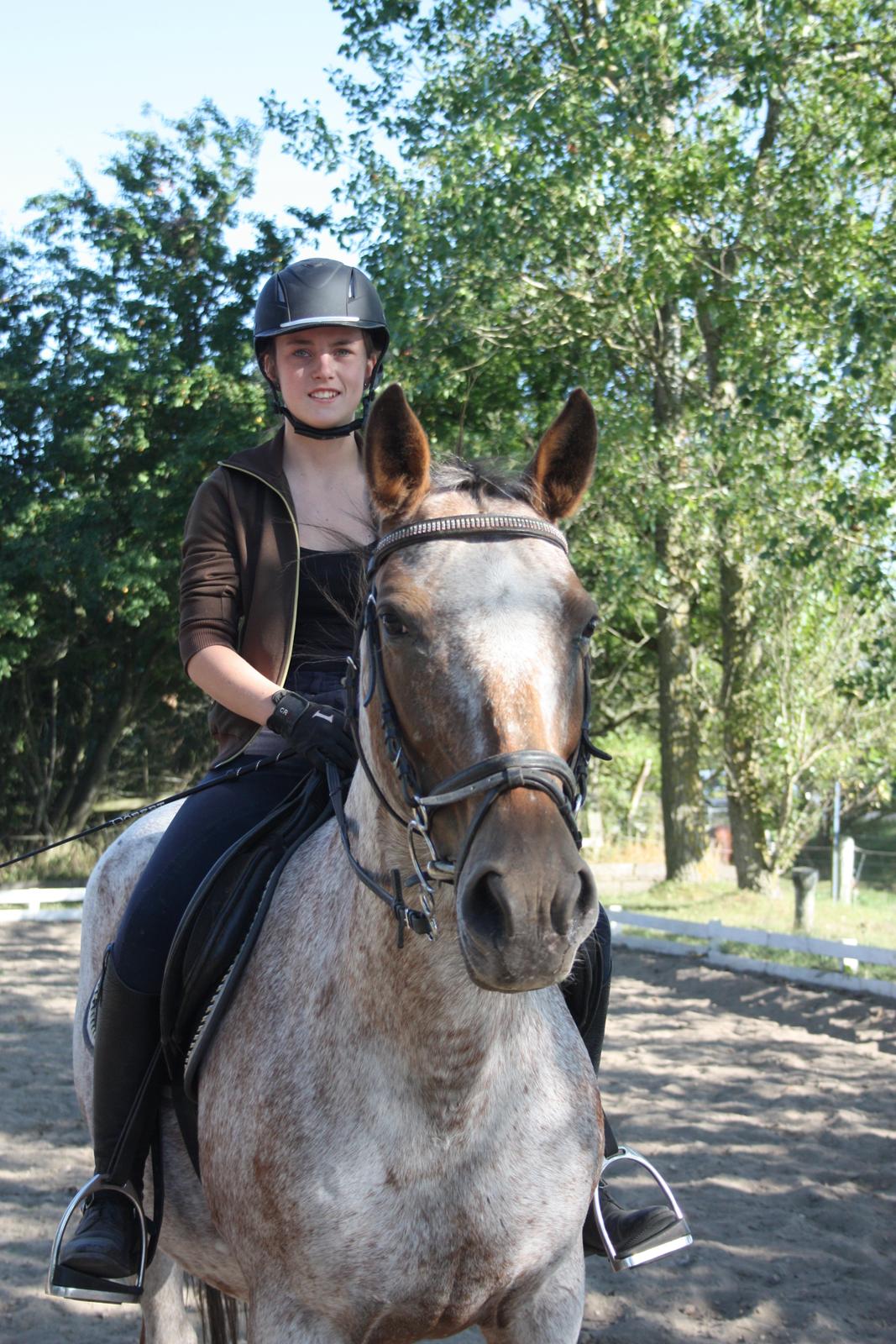 Knabstrupper Tessa <3 - Velkommen til Tessas profil! billede 2