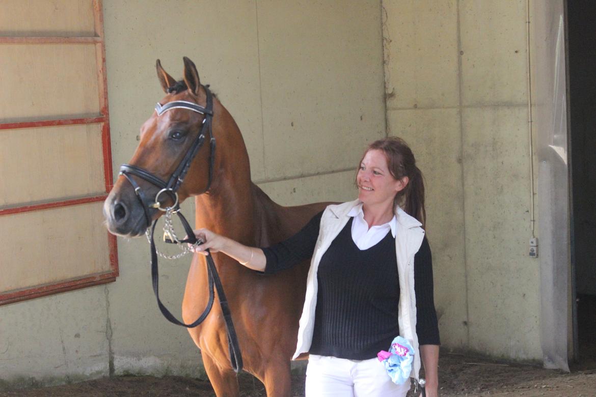 Welsh Partbred (Sec F) Trubka´s Nicardo billede 3