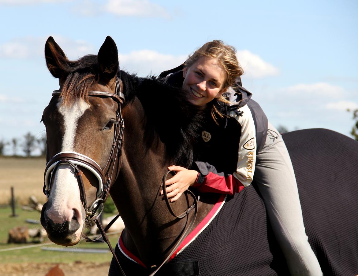Dansk Varmblod FLINTEGÅRDENS GRANDESSA billede 16