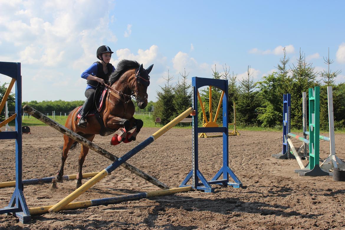 New Forest Sabrina ~SpringStjernen~!<3 - Springer spøtten ud i kriýds!<33 billede 14