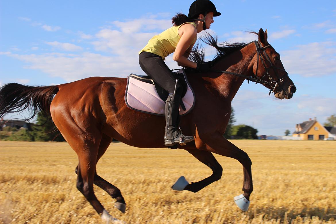 Traver Swept To Klindtholm - Lidt galop skal man også have lov til :D
 billede 15
