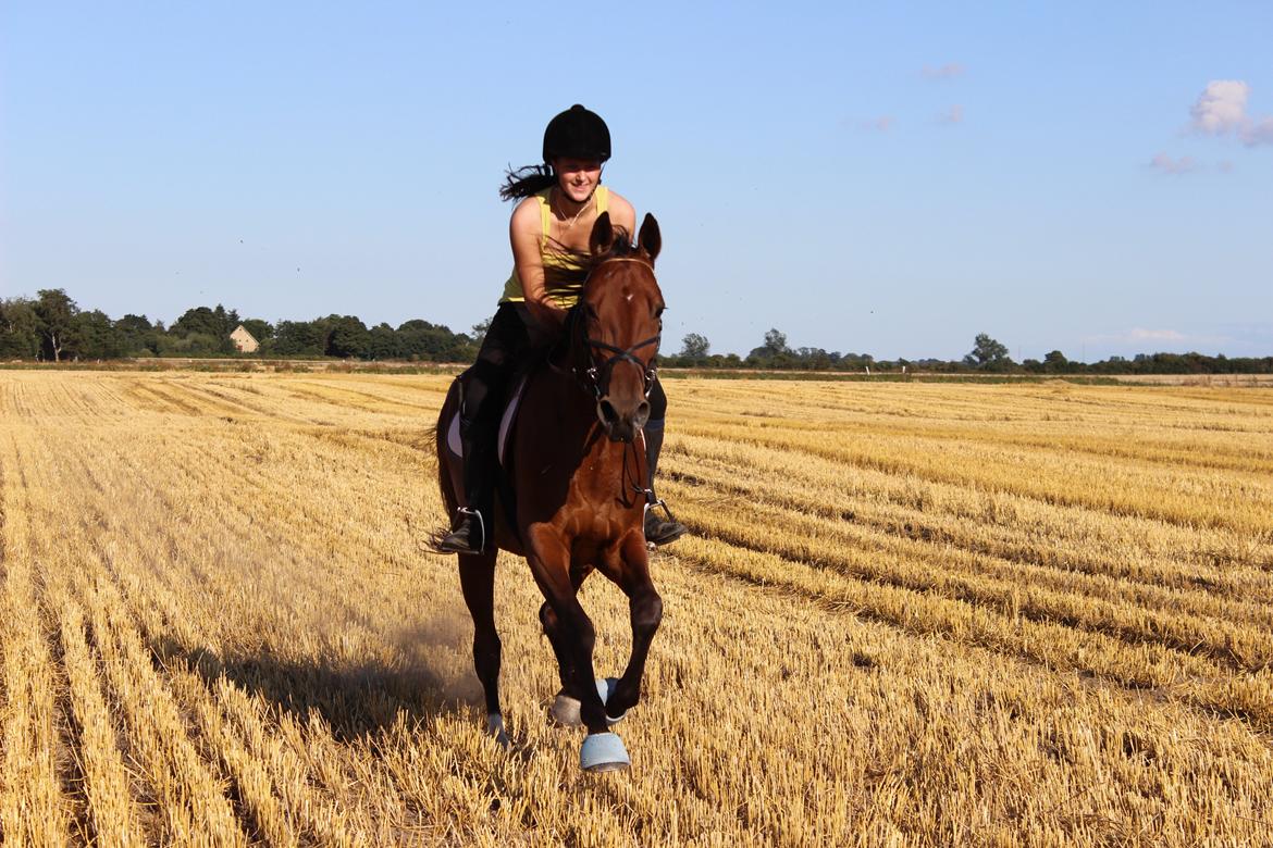 Traver Swept To Klindtholm billede 19